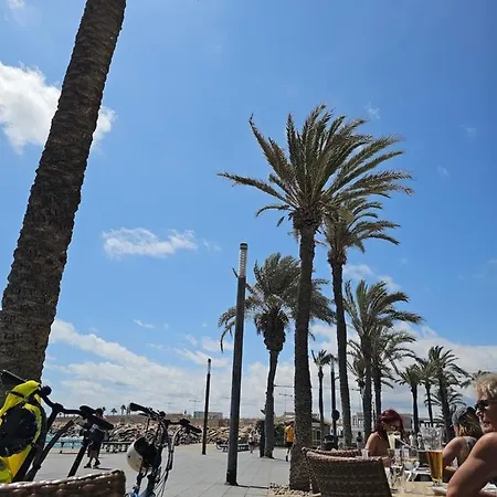 Apartament Playa La Mata Apartment