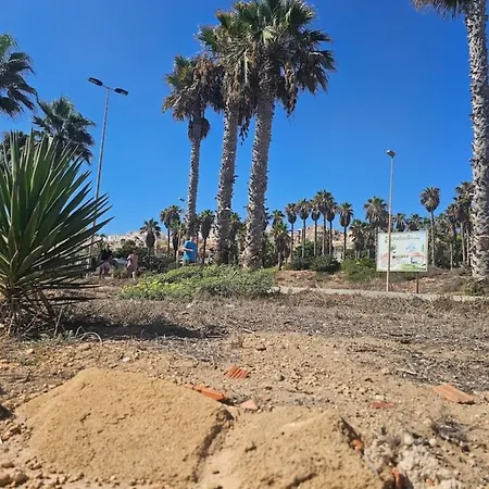 Apartament Playa La Mata Apartment Torrevieja