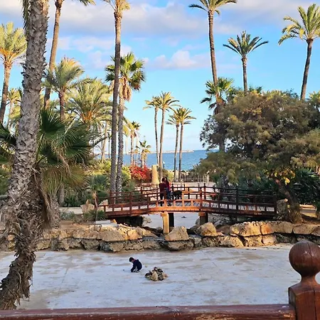 Apartament Playa La Mata Torrevieja